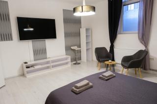 Lovely City Nest - Lubiana - 8