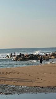 Banana Beach Club Unit A2 - Port Shepstone - 4