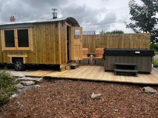 Little Dolwen - Sioned - Llanwenog - 5