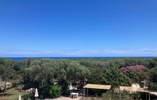 Hotel Villa Campana - Cala Liberotto - 8