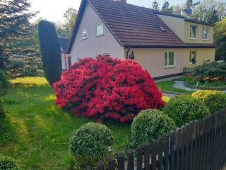 Ferienhaus Pali - idyllische Atmosphäre - Limbach-Oberfrohna - 0