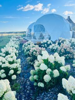 LoveLand Farm Kupolai - 9