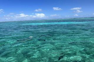 Bella Mar- Oceanfront Villa by Stay Floreo - San Pedro - 8