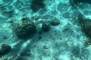 Bella Mar- Oceanfront Villa by Stay Floreo - San Pedro - 7