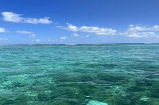 Bella Mar- Oceanfront Villa by Stay Floreo - San Pedro - 5