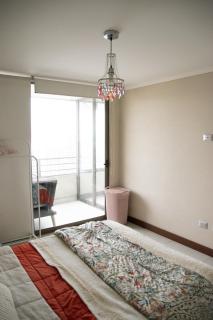 Departamento Santiago Centro Full equipado - Santiago - 9