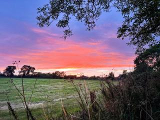 Sunset View - Edington - 0