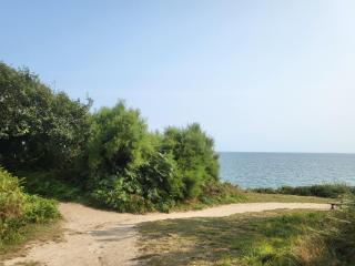 Plage des Dunes - Grand Studio ouvert avec 1 mezzanine et 1 alcôve - Fouesnant - 8