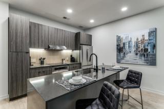 Stunning Apt in West Village - Dallas - 9