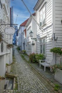 Historic Skuteviken Apartment - Bergen - 8