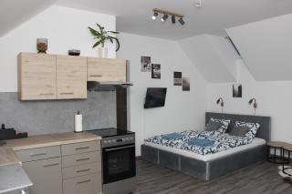 Apartmán Pod Hrází Chráštany - 1