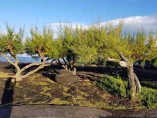 Casa Fitz - Bungalow with Ocean Views and Air Conditioning - Santa Luzia - 5