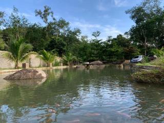 Rock Forest Chalet - Bentong - 6