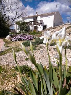 Cortijo Relatillos - Albox - 4