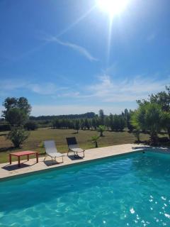 Villa provençale à Arles avec piscine privée et vue jardin. - Arles - 9