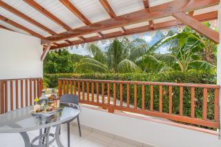 Ixora au Refuge de Madiana à Schoelcher - 1