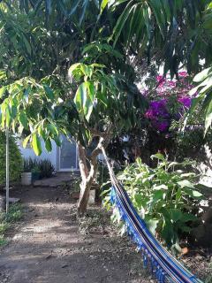 Casita amueblada con vista a las montañas - Tepoztlán - 5