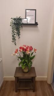 Modern apartment - Garden & free parking - Londra - 3