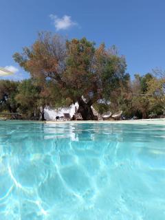Trullo Terracielo - Ceglie Messapica - 5