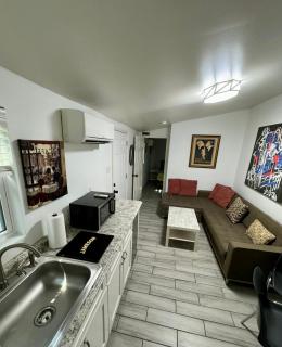 One bedroom apartment with hot tub 2 blocks to Magazine street - 7