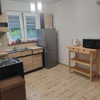 Domek całoroczny wsród jezior przy lesie - Giżycko - 7