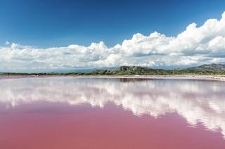 Luxury Beach Villa with Private Pool, Jacuzzi, Beach Club Access with Restaurant & Adventure Nearby - 5