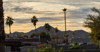 Phoenix Winchcomb - Phoenix - 3