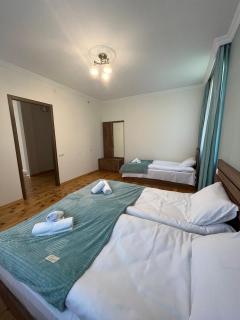 Polaris Kazbegi - Kazbegi - 9