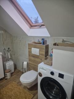 Vila Xenos Zrenjanin - Zrenjanin - 2