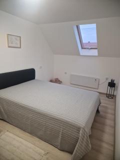 Vila Xenos Zrenjanin - Zrenjanin - 3