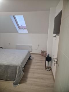 Vila Xenos Zrenjanin - Zrenjanin - 1
