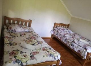 Lia's Guest house Tsvirmi - 8