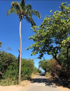 Coco Beach House - Coco - 9