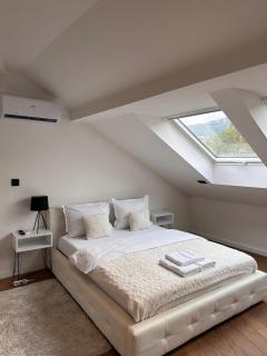 Penthouse Sarajevo - Sarajevo - 4