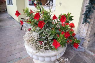 Landhaus-Appartements Warraich - Schladming - 3