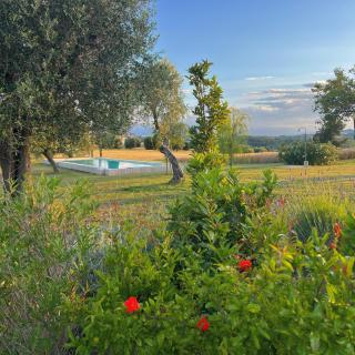 La Buona Maniera - 7