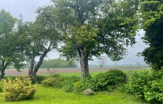 Historic Summer House From 1877 With Scenic View - Stokkemarke - 9