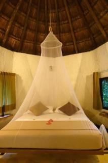 Jolie Jungle Eco Hotel - Puerto Morelos - 3