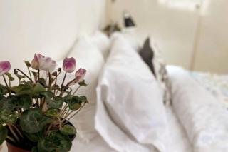 Cute and Charming Mexican Style Apartment - Città del Messico - 7