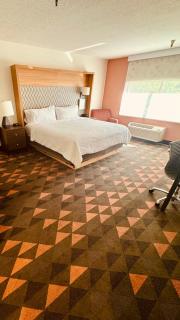 Holiday Inn Rancho Cordova - Northeast Sacramento by IHG - Rancho Cordova - 3