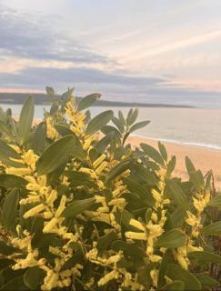 Totally Beachin! - walking distance to the beach - Eden - 6