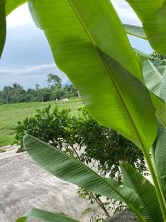 Carmel Retreat - San Pablo City - 7