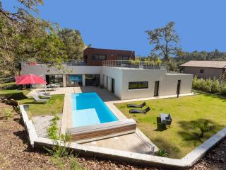 Villa avec Piscine Chauffée à 200m du Lac d'Hossegor - FR-1-791-6 - Soorts-Hossegor - 7