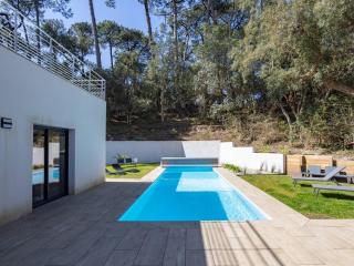 Villa avec Piscine Chauffée à 200m du Lac d'Hossegor - FR-1-791-6 - Soorts-Hossegor - 1