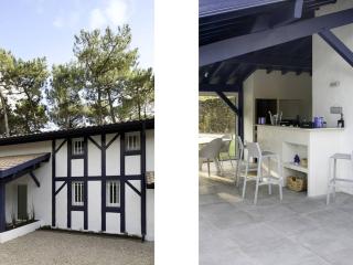Villa de luxe avec piscine chauffée, jacuzzi, sauna au cœur de la forêt des Landes - FR-1-791-24 - 1