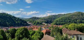 Pension Waldfrieden - Bad Lauterberg im Harz - 8