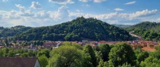 Pension Waldfrieden - Bad Lauterberg im Harz - 9