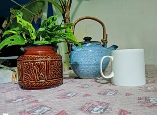 Dion Homestay - Cochin - 6