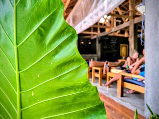 The Ohm Siargao Resort - 4