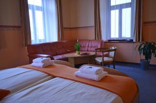 Hotel U Kozicky - 6